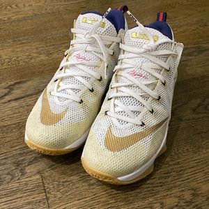 Nike LeBron 12 low